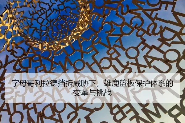 zi-mu-ge-li-la-de-dang-chai-wei-xie-xia-xiong-lu-lan-ban-bao-hu-ti-xi-de-bian-ge-yu-tiao-zhan-3-155.jpg