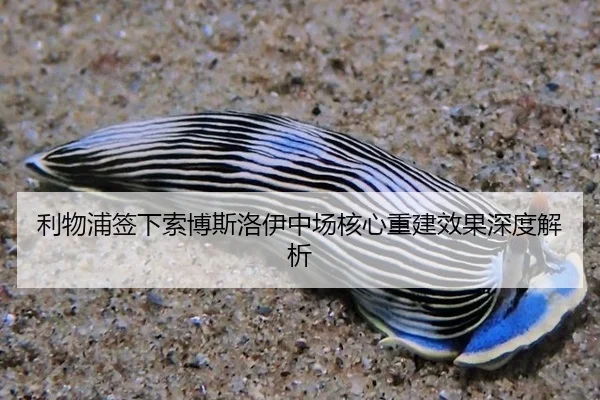 li-wu-pu-qian-xia-suo-bo-si-luo-yi-zhong-chang-he-xin-chong-jian-xiao-guo-shen-du-jie-xi-3-222.jpg